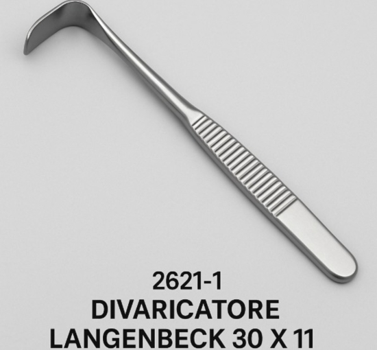 AS2621-1
